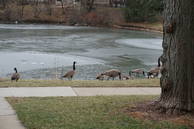 Photo - 913 Casey Ct Unit 1