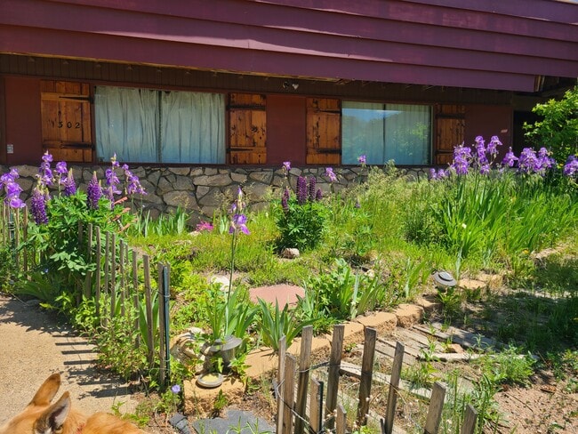 Photo - 1302 Colorado Blvd Unidad Garden Level