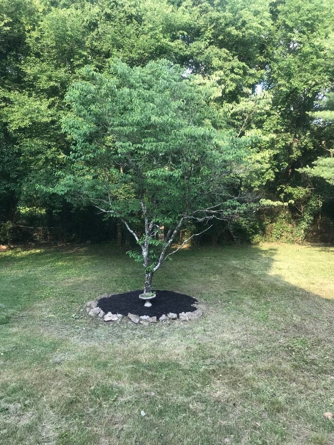 backyard - 1122 Woods Edge Dr