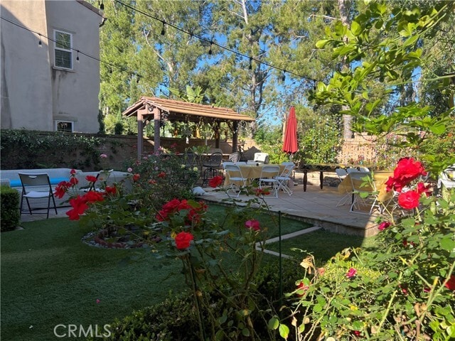 Photo - 27 Tree Clover