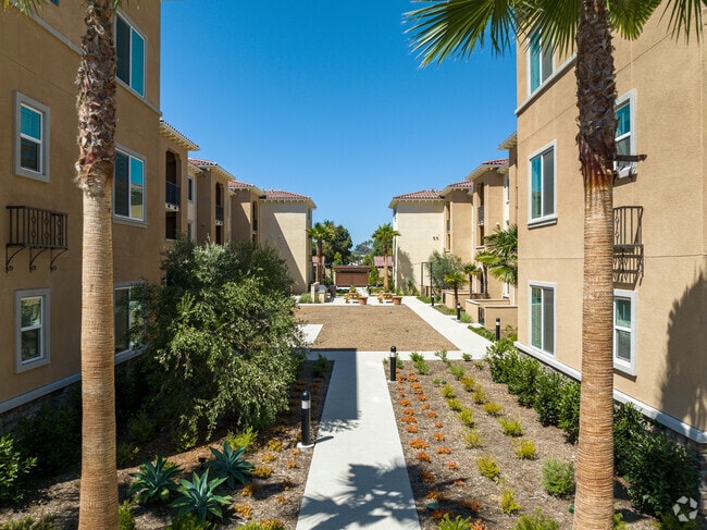 Court yard