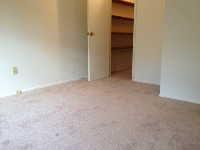 Carpeted Bedroom