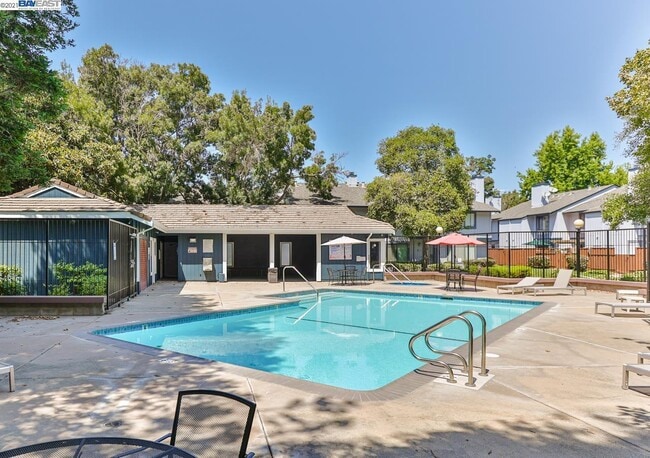 Piscina y zonas comunes - 6119 Thornton Ave