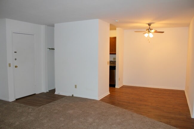 Springtree Apartments