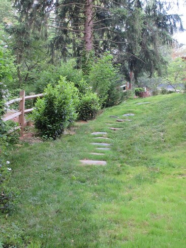 Side yard - 104 Buckingham Rd