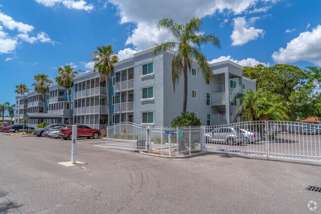 Photo - Sarasota Palms