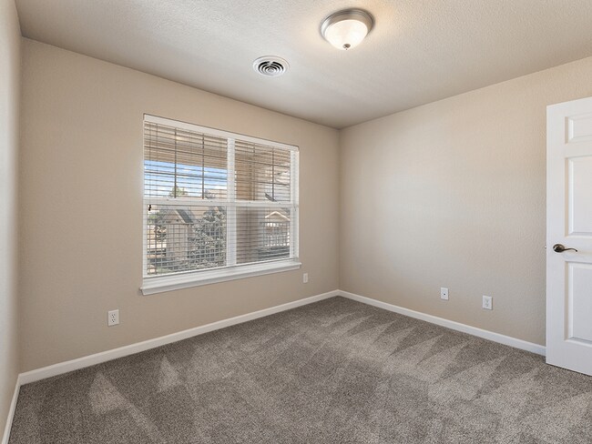 Abundance of Natural Light