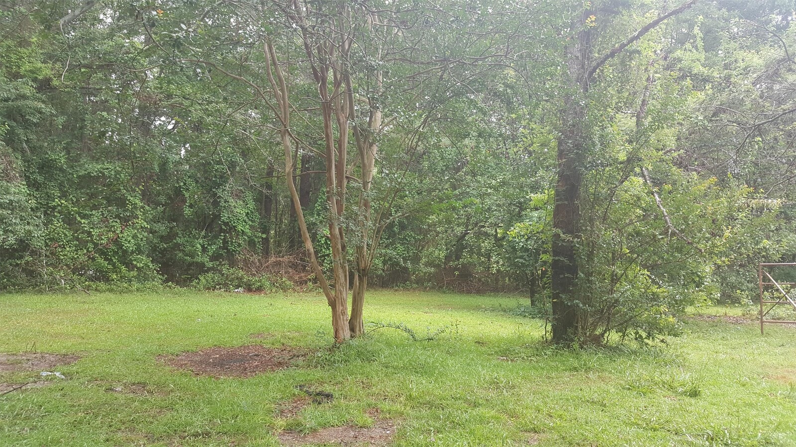 Photo - 1207 Hampton Rd