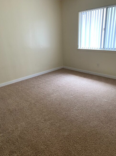 Photo - Santa Rosalia