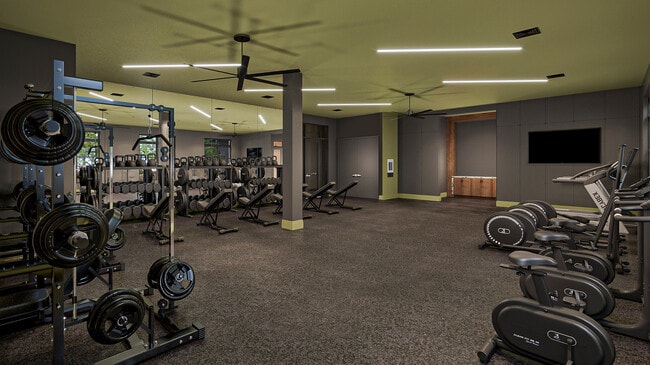 20250205 07 FITNESS_updated - The Edge