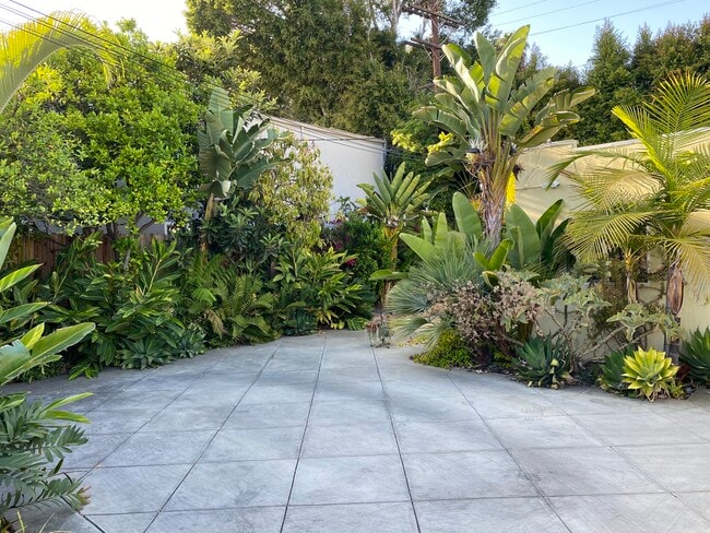Back Yard - 6551 Fountain Ave