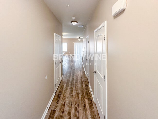 Photo - 1916 Old Dogwood