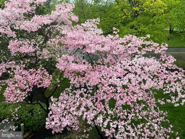 Photo - 1705 Mountainview Dr Unit 1705