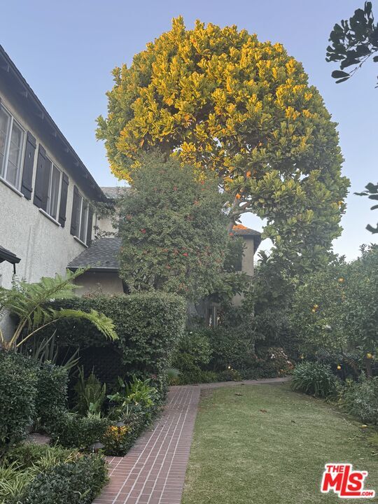 Photo - 7917 Norton Ave