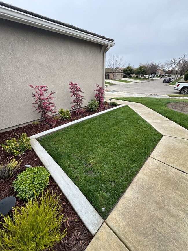 Photo - 3 bed 2 bath - beautiful home!