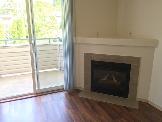 Gas fireplace (PSE)