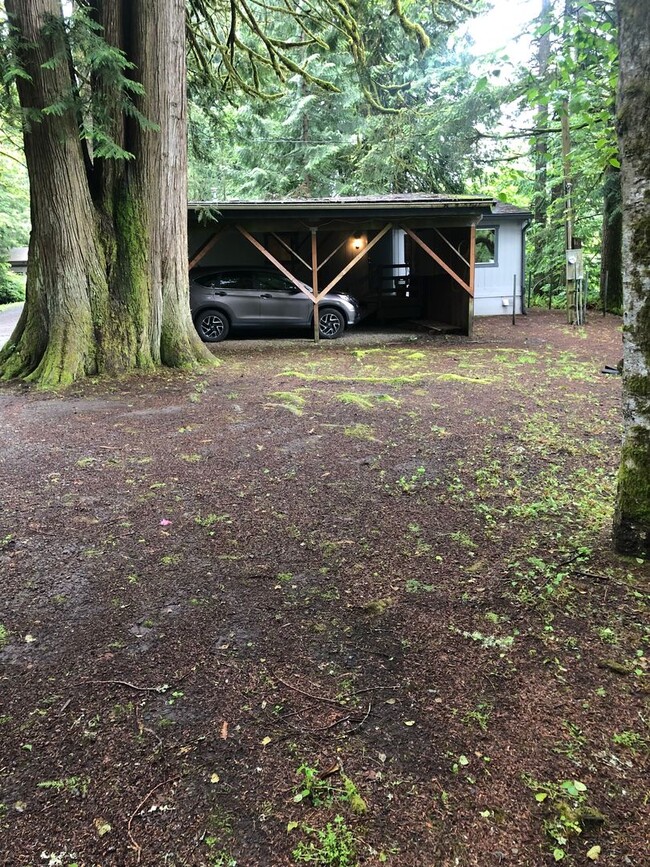 Photo - River Rapids