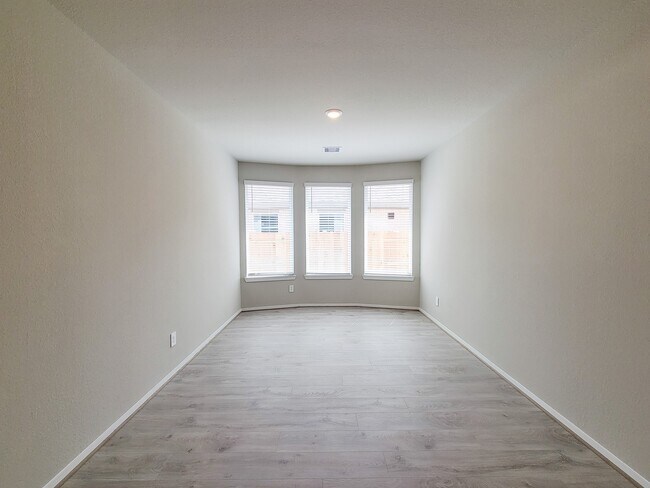 Photo - 17415 Butterfly Orchid