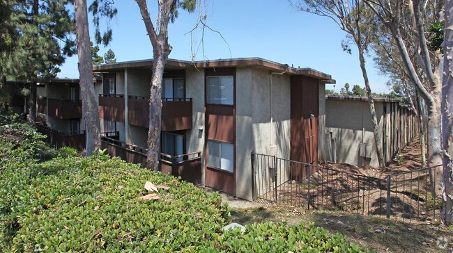 Fiesta Apartments - Fiesta Apartments