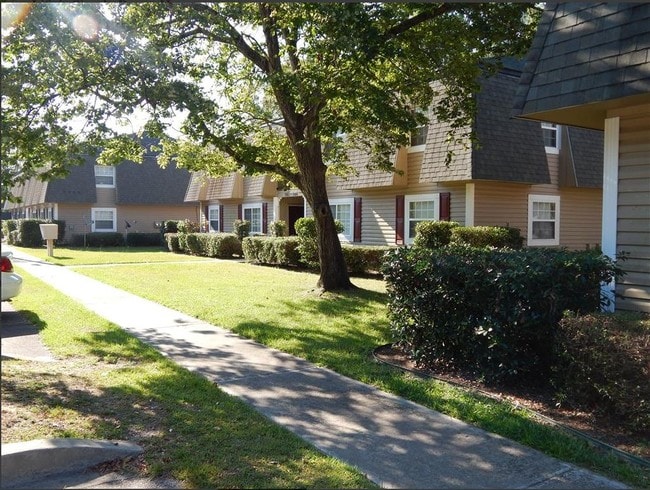 Plantation Oaks - Plantation Oaks