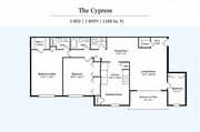 The Cypress