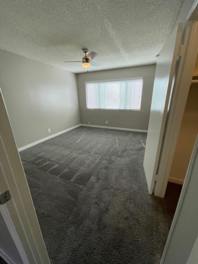 Photo - 291 Avocado St.