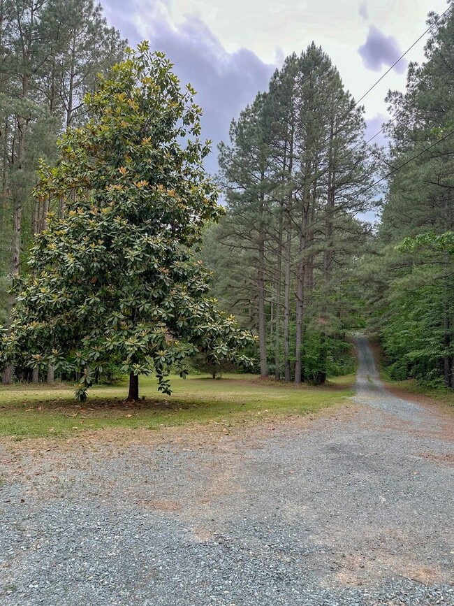 Photo - Fluvanna 3bedroom&1.5bath Rental