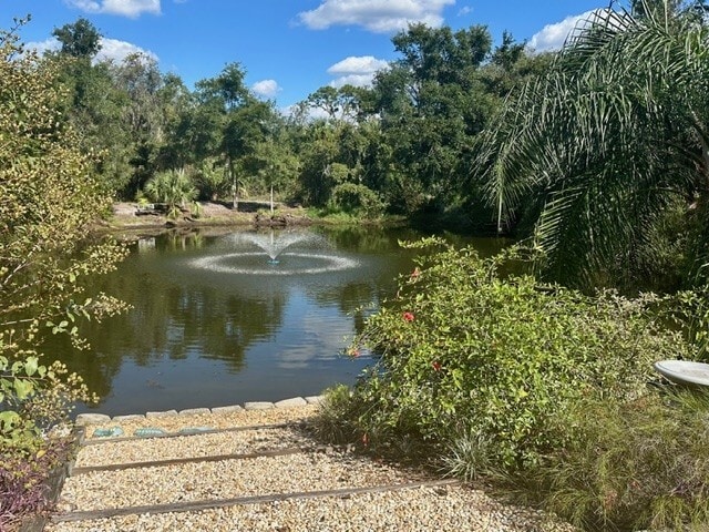 Backyard - 4710 Lighterwood Way