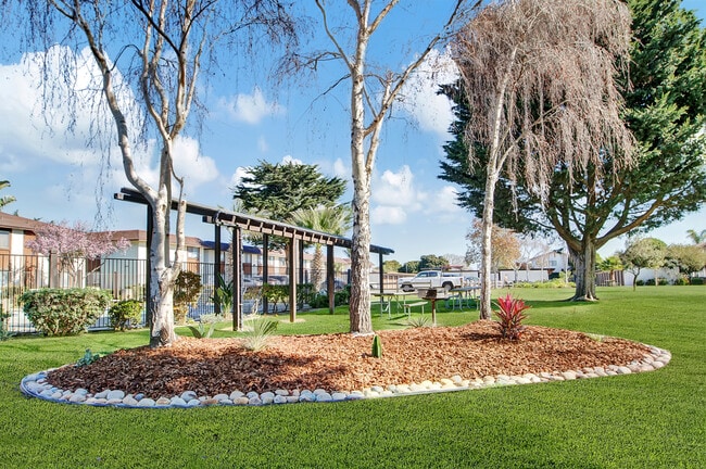 Picnic area
