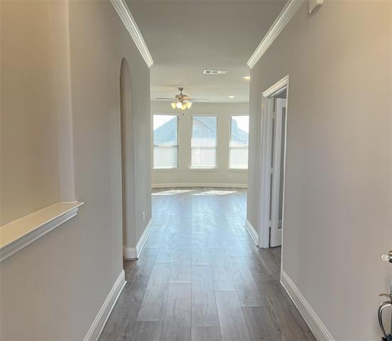Photo - 2904 Diamondback Dr