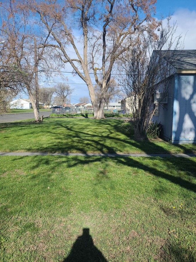 Photo - 917-919 Lowry St Unit 917 Lowry St