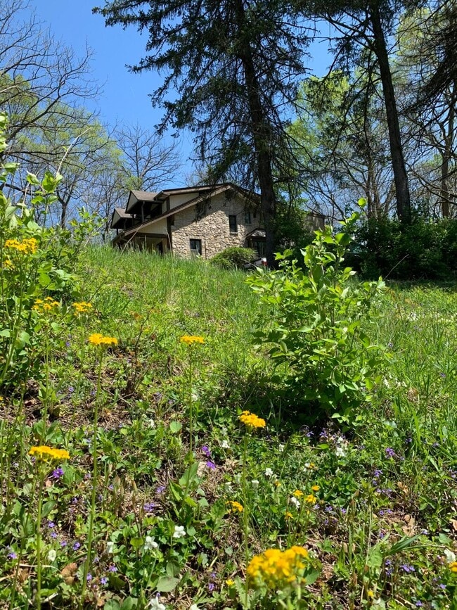 Photo - 7049 Riverside Dr