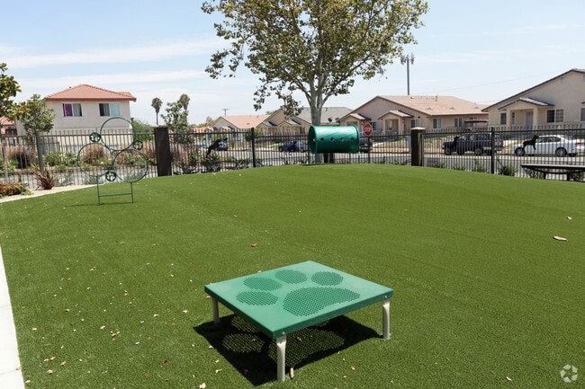 Dog Park