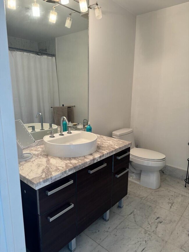 244 Biscayne Blvd Condo Unit 3807 Condo for Rent in Miami, FL