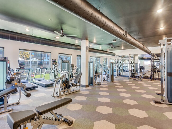 Photo - Jefferson Elara