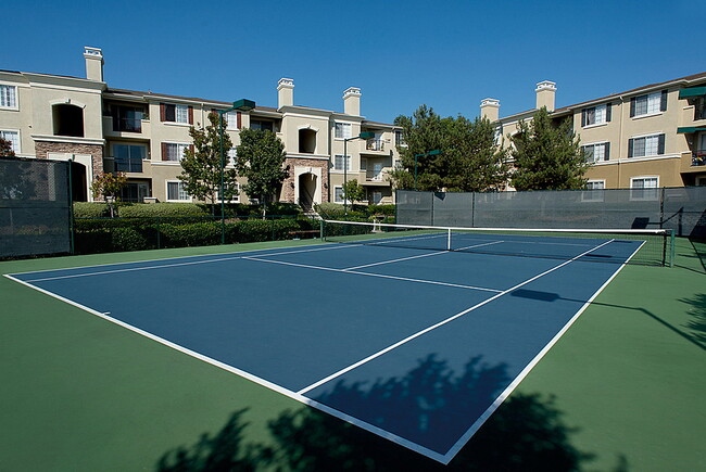 Photo - Cambridge Park