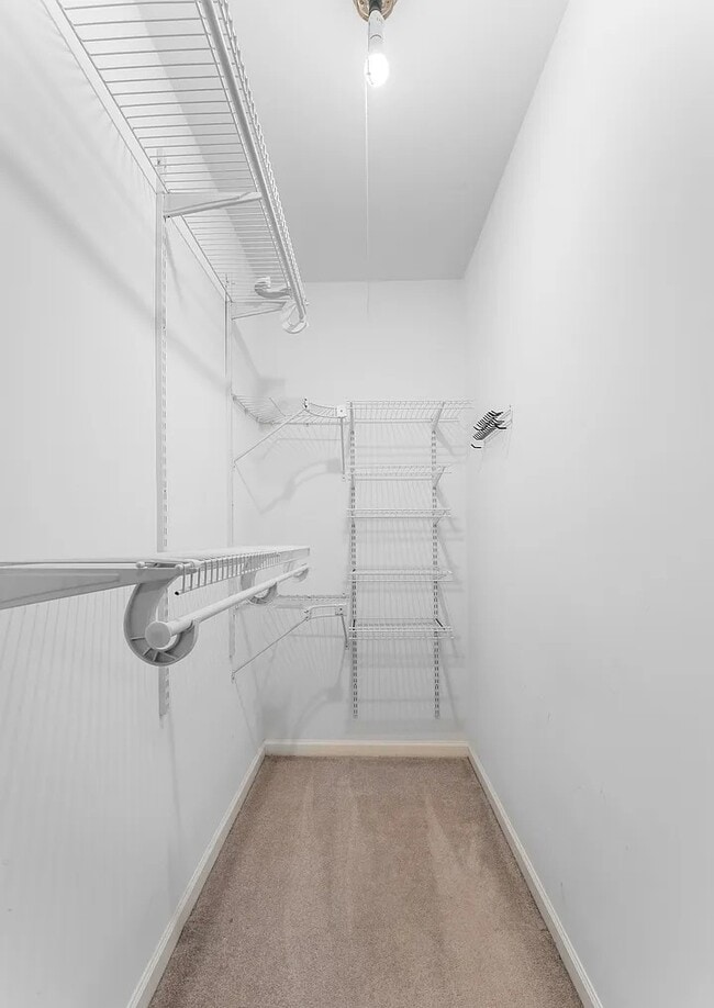 Photo - Modern & Spacious Rental Unit Available