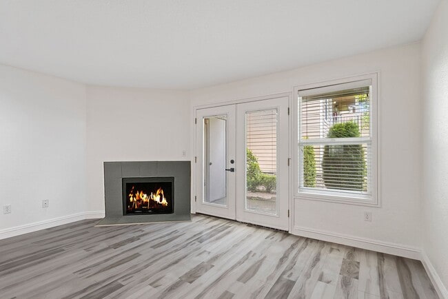 Photo - Everett Cove