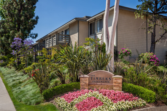 Timbers Apartments, El Toro - Timbers Apartments, El Toro