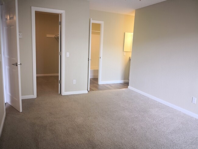 Large Bedroom w/ Walk-In Closet