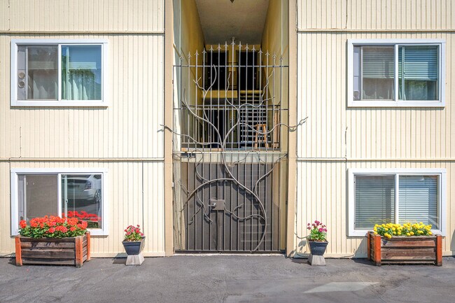 Photo - Curry Court Apartments