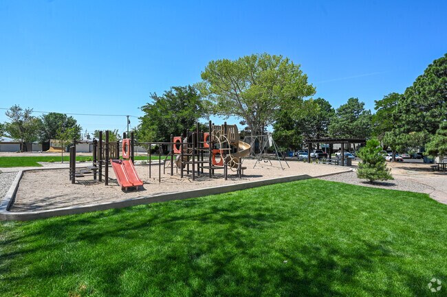 Playground and Grass Area