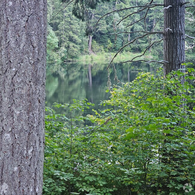 Houses for Rent near Cinebar WA 3 Houses