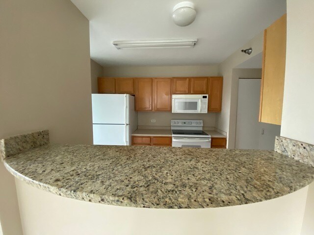 345 N LaSalle St Unit 2608