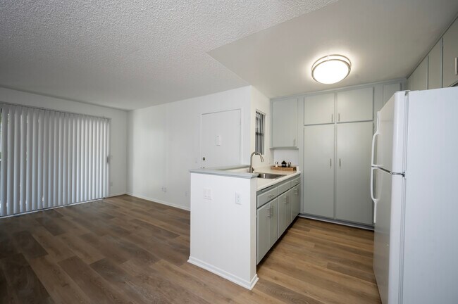 Kitchen and Living Room
