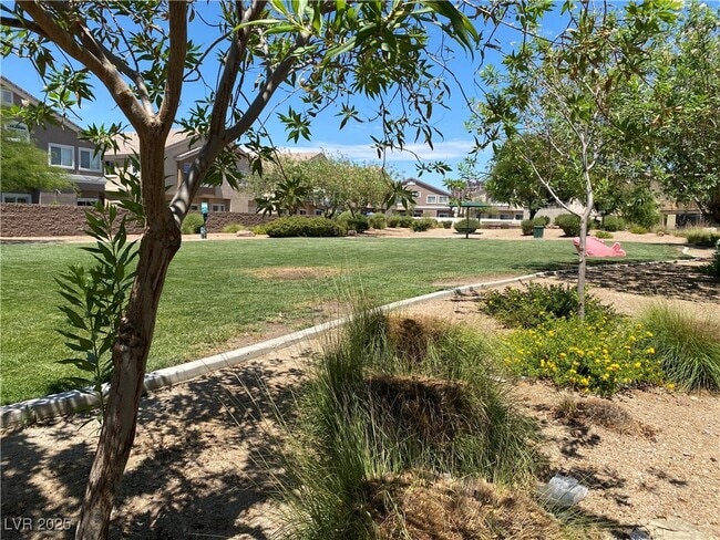 Photo - 4821 Longshot Dr