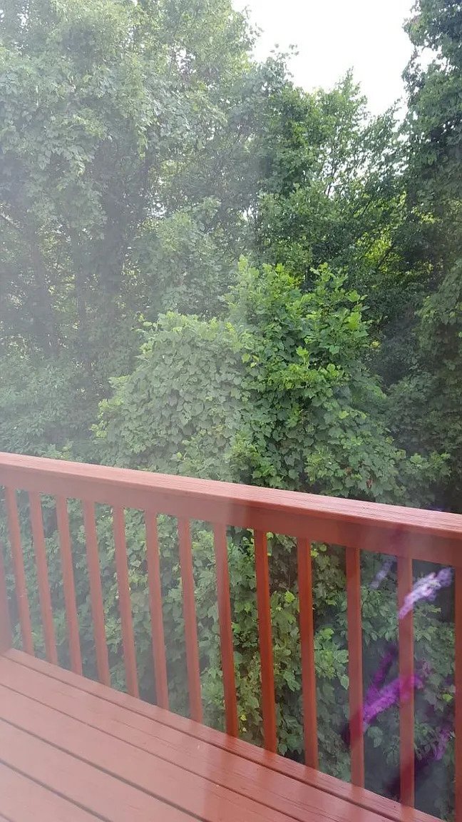 Photo - 1405 Cain St