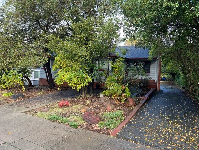 Building Photo - 500 SQFT. STUDIO UNIT NEAR DOWNTOWN HAYWARD. PRIME LOCATION, PRIVATE ENTRENCE, AND MORE!!!