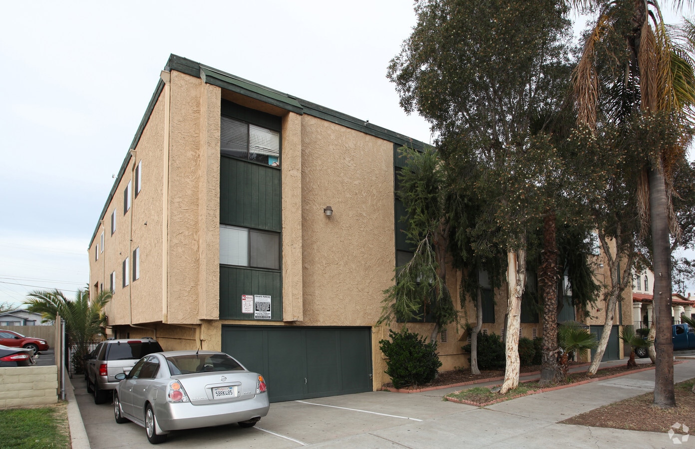 Palm Tree Apartments - Palm Tree Apartments