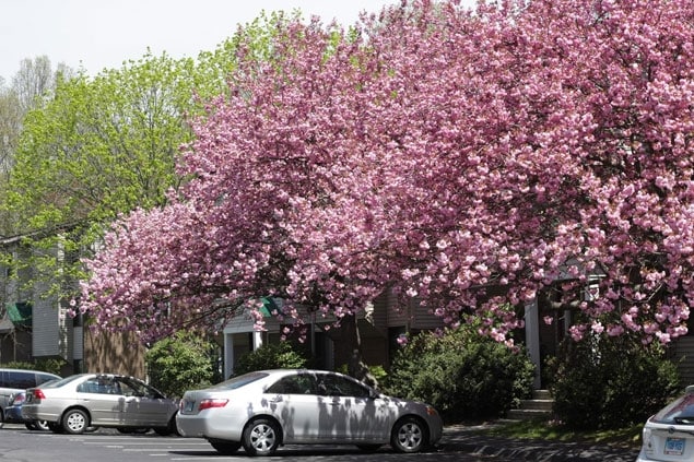 Photo - ReNew Washington Park